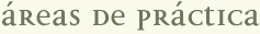 &Aacute;reas de pr&aacute;ctica
